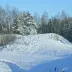 danieljungle
