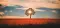 EmberPhoenix0576