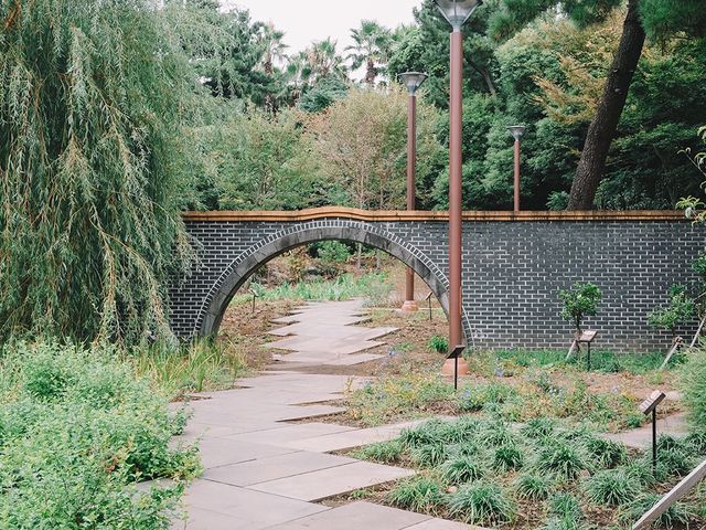 遊濟州🇰🇷徐福公園