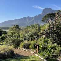 Boschendal - West Cape - From farm to table