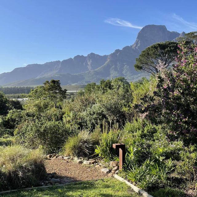Boschendal - West Cape - From farm to table