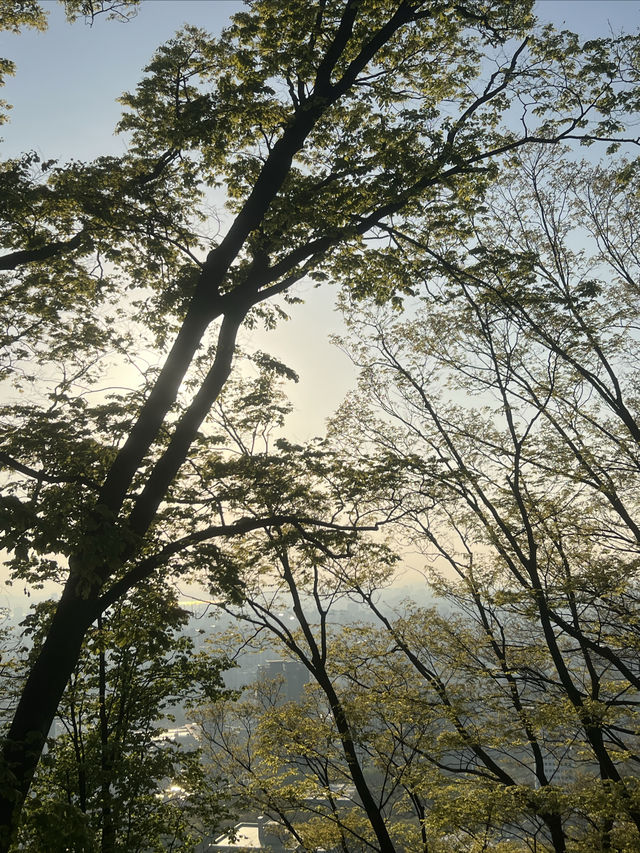 如何以最便捷的方式登上南山公園