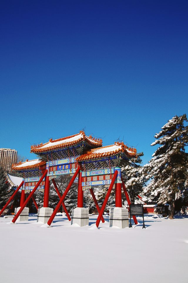 一下雪，哈爾賓文廟就變成了故宮