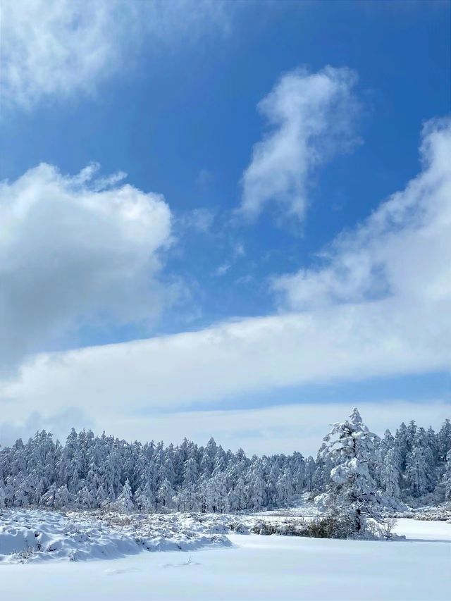 宮崎駿的冰雪世界丨瓦屋山