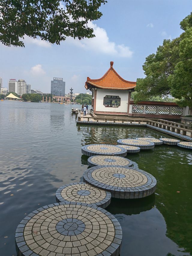 芜湖鏡湖公園丨鑲嵌在芜湖大地上的一顆璀璨的明珠