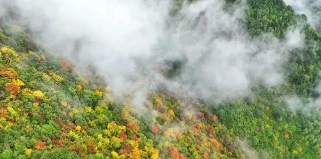 遇見冬日炫烂，遇見多彩涼山