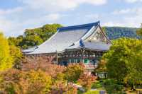 宿坊京都擁有千年歷史智積院寺廟