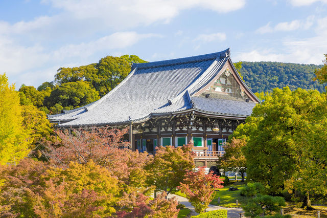 宿坊京都擁有千年歷史智積院寺廟