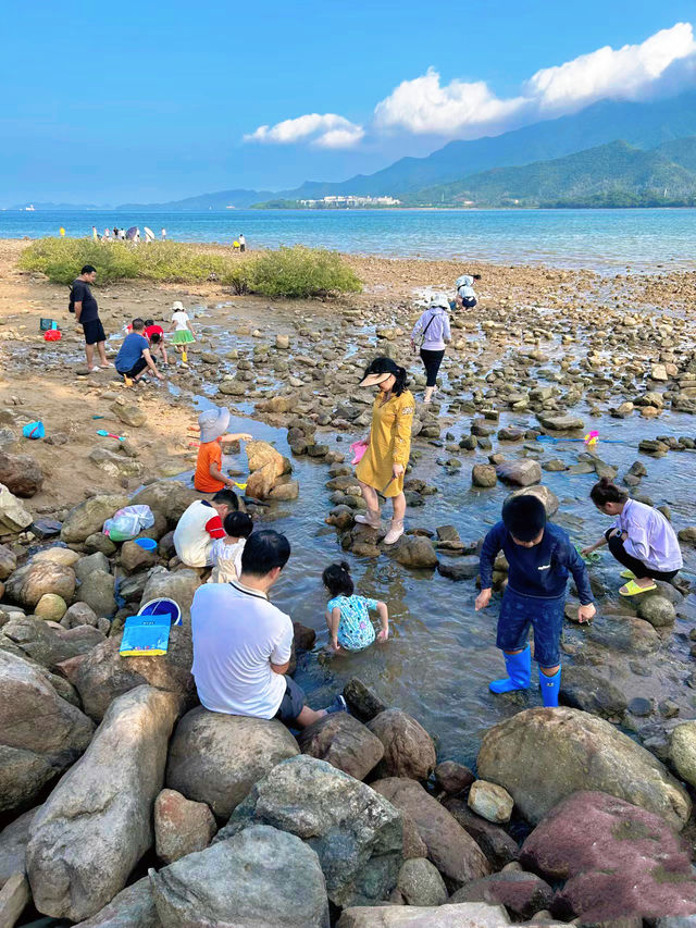 在深圳開車直達露營趕海可明火可過夜 在深圳開車直達露營趕海可明火可過夜