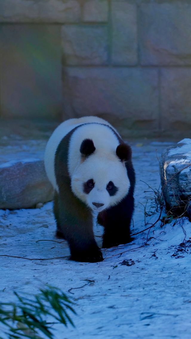 北京動物園