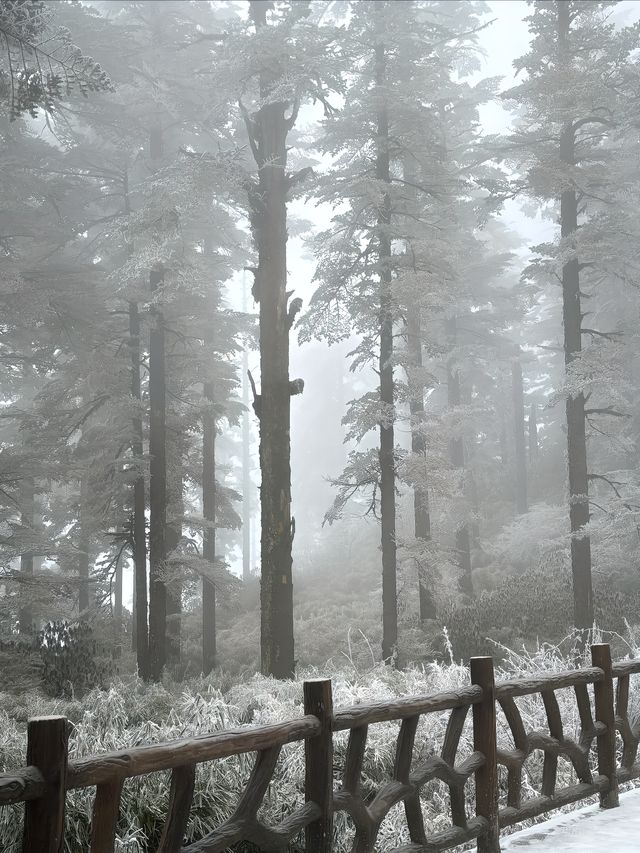 瓦屋山旅行的分享日誌