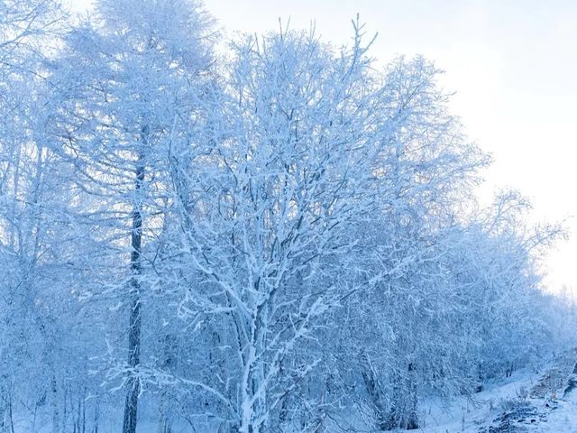 中國雪谷～霧凇嶺