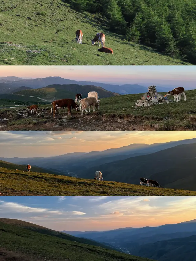 산시는 정말 좋아요, 다음에 또 오겠습니다!