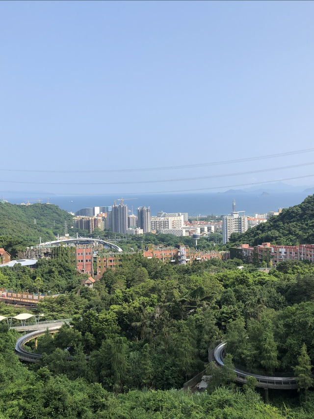 深圳東部華僑城｜快帶全家老小一起來大型觀景遊樂園