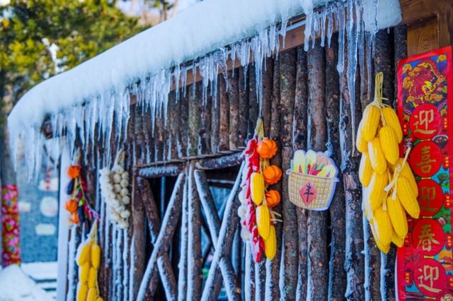 洛陽白雲山·森林冰雪奇遇季快樂加載100%