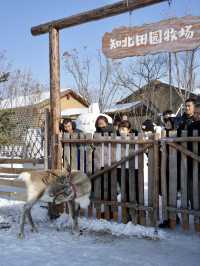 長春周邊遊 | 去不了雪鄉就來這裡吧