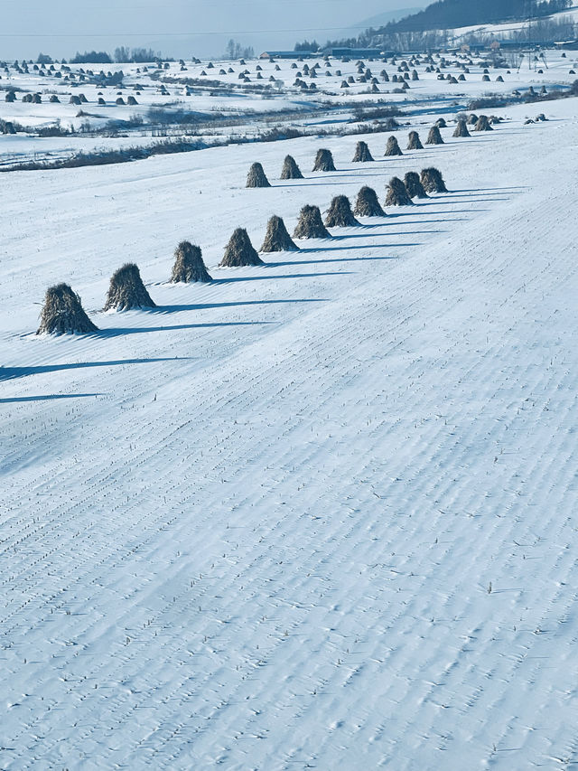 清晨沃雪東北大地