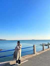 青島｜yeah最全線路一天玩轉青島攻略～