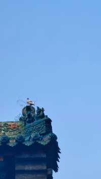 禮拜玄中寺