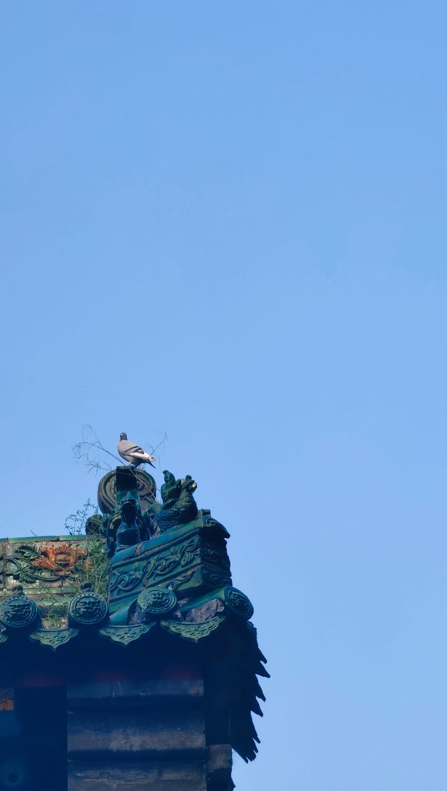 禮拜玄中寺