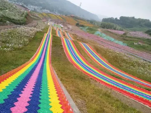 一起相約七里花海