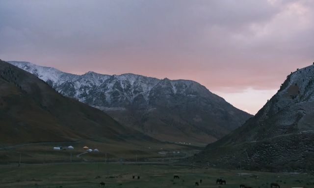 青海 德令哈之驚喜--柏樹山