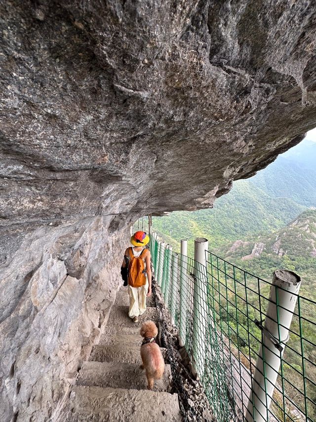 福建極少人知道的懸崖棧道！徒步是極美的！周末和朋友一起去徒步