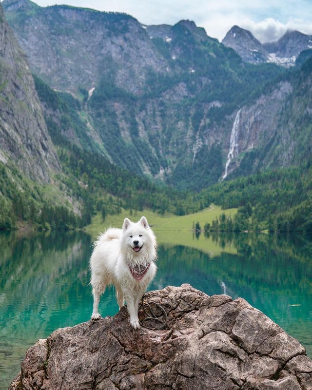 🐐😜 Get ready for some mountain adventure with this little goat! Happy Friyay! 🏞️🇩🇪