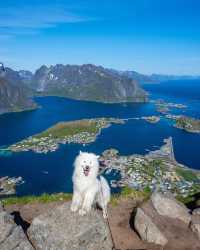 😝🫶 Unleashing the Adventure! Epic Hiking in Reinebringen, Norway 🏔️🌲