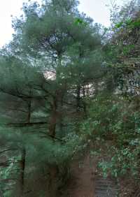 苍山！清碧溪徒步
