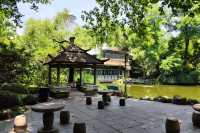 上海人民公園，傳說中的相親角呢？