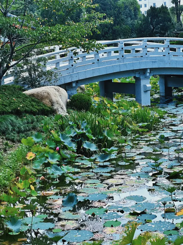 Baoshan Temple | Is it the lingering charm of the late Tang Dynasty or the "doubt" of the late Tang Dynasty