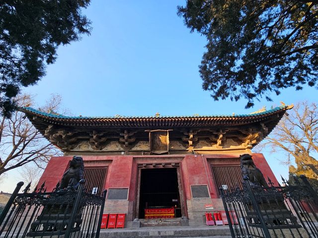 如果世上真有龍的存在，大概就是這樣的模樣