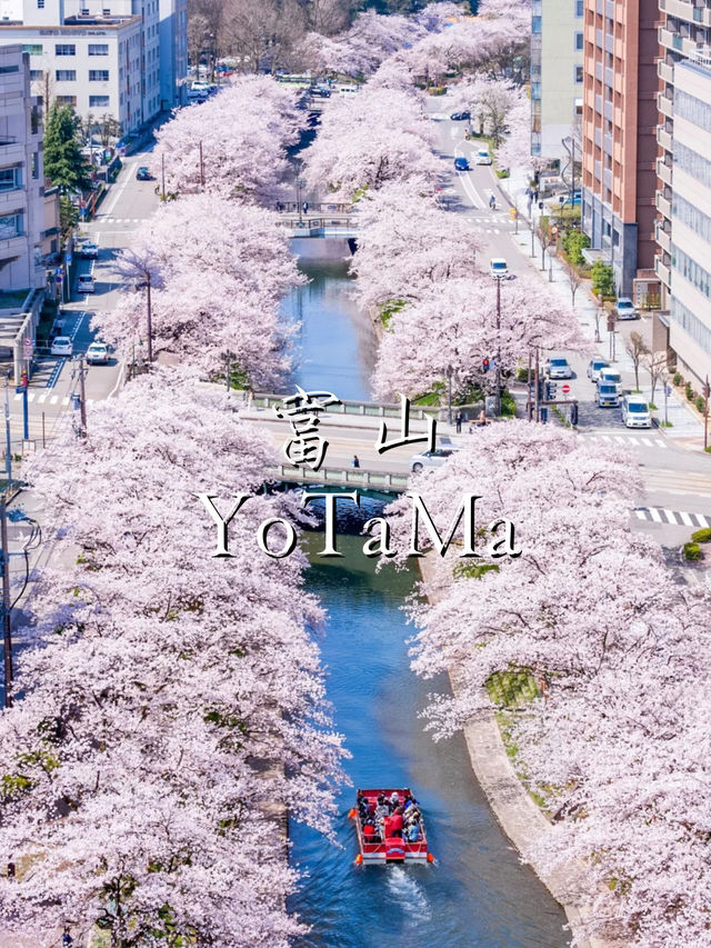 富山之旅：探索年輕之美與璀璨風景