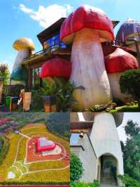 貴州/興義蘑菇野奢酒店/太夢幻了，我竟然住進了巨型蘑菇村！