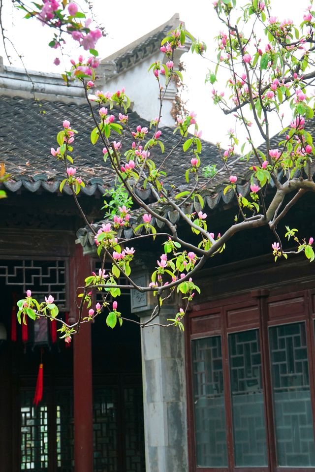 二泉書院