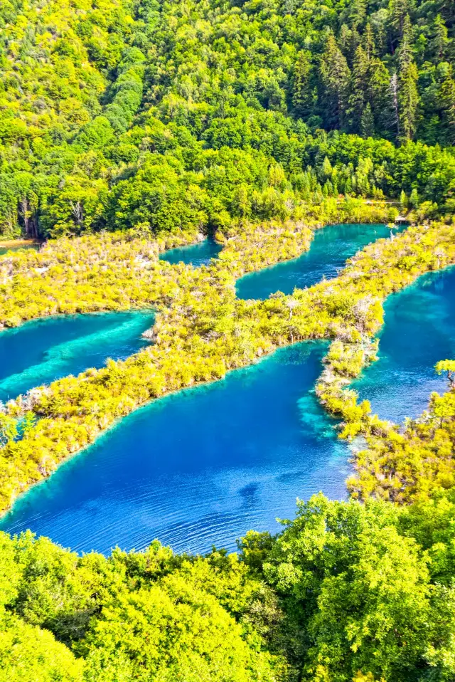 These 3 Jiuzhaigou panoramic viewing platforms, 99% of people don't know about