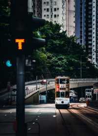 香港｜極具煙火氣息的一座城市