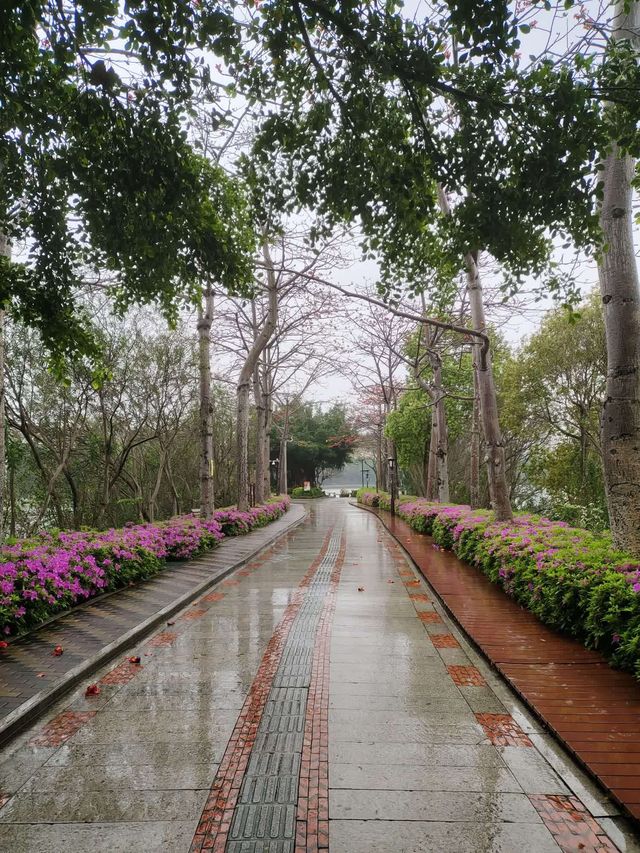 泉州西湖公園（下）