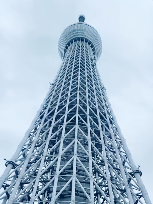 東京晴空塔：世界最高自立式電波塔，美食住宿交通一網打盡
