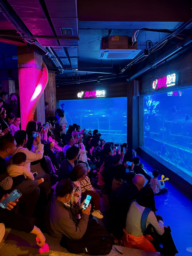 過年全家出動，一起去海洋世界看海底星空呀