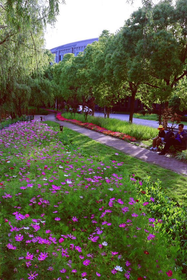帶娃逛大學第①站——華東政法大學