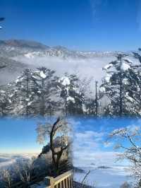 不是挪威去不起，而是西岭雪山更有性價比