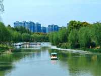 不到三小時就逛完了顧村公園