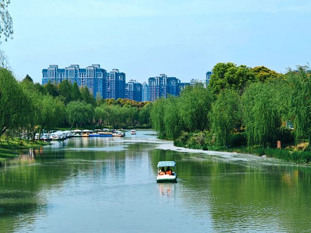 不到三小時就逛完了顧村公園