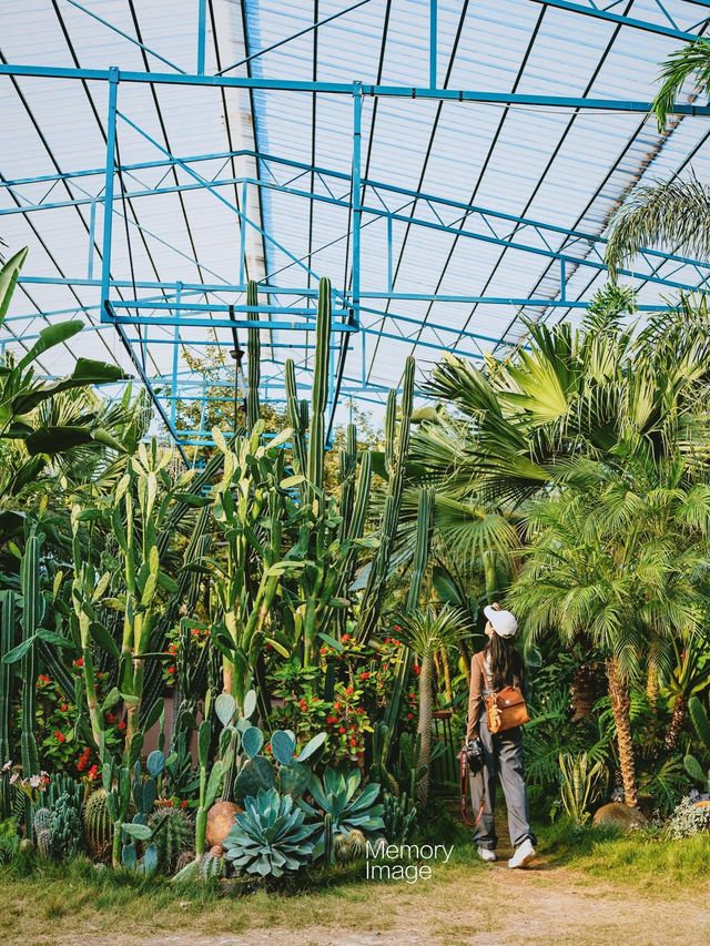 Winter Tour in Guangxi | Step into the Secret Red Roof Garden, as Romantic as a Monet Painting