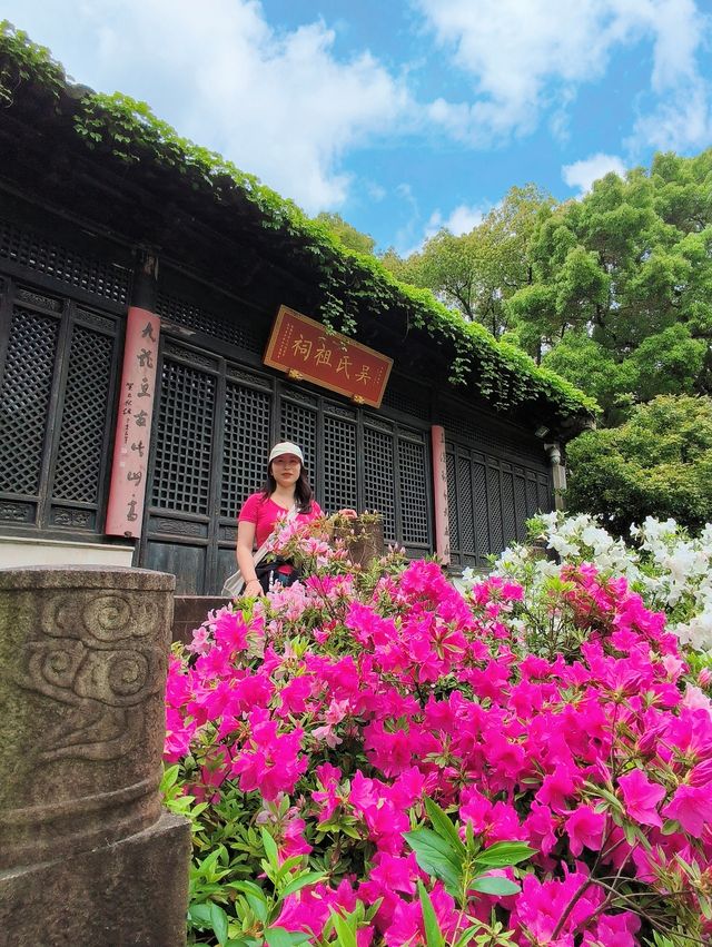 無錫踏青惠山古鎮一日遊攻略