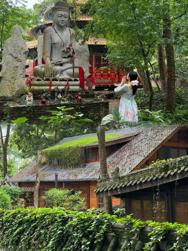 成都|曲徑通幽•林深見鹿