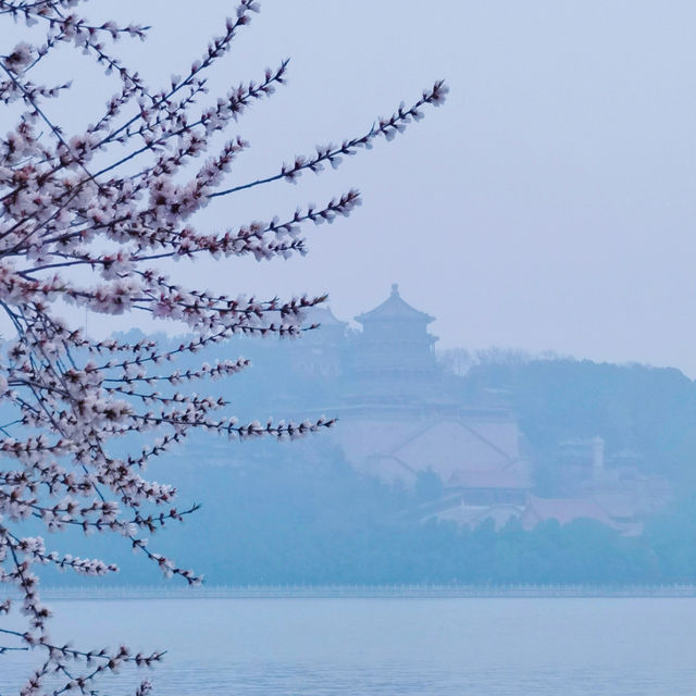 頤和園：美景、宮殿、花香，推薦大家來感受！