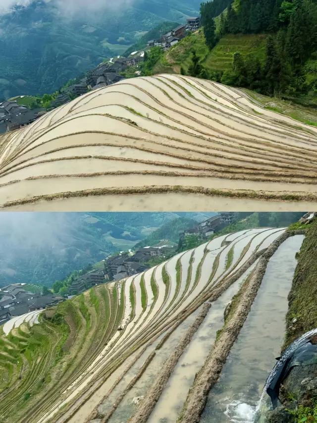 Longji Rice Terraces Tour: Complete Guide to Transportation and Ticket Prices